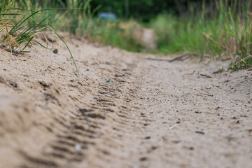 Sandy, small and narrow path in the forest leading to green grass vegetation. Car tracks on the sand. A simple miniature landscape.