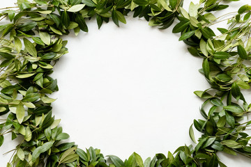 periwinkle leaves wreath on white background. green foliage circle. floristry botany and natural decor. empty space concept.