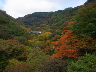 秋の横軽