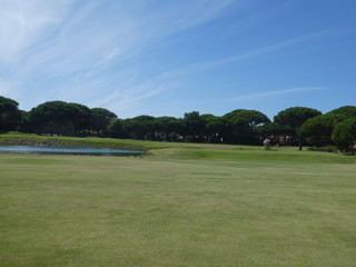 Fototapeta na wymiar golf course in Portugal
