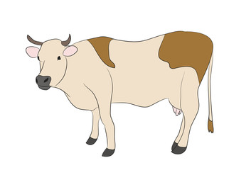 Cow drawing which stands, vector