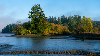 Puget Sound Fog and Low Tide