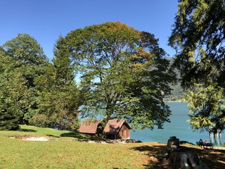 Obraz premium Achensee in Tirol, Bezirk Schwaz, Wanderweg zwischen Pertisau und Achenkirch über die Gaisalm