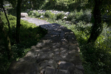 path nepal