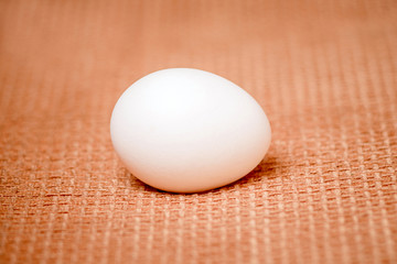 White chicken egg on an orange cloth background_
