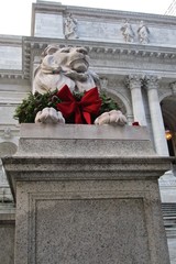 One of two stone lions that guard the entrance to the New York Public Library’s main branch on Fifth Avenue, New York. Their names are “Patience” and “Fortitude.”