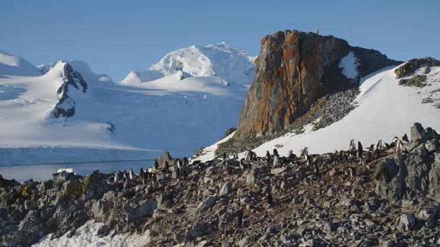 Felsen in der Antarktis
