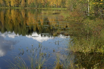 lakes in autumn forest