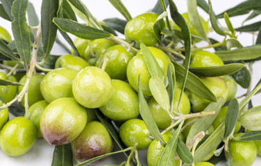 Green fresh olive on the white background