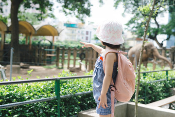 Fototapeta premium Children feed Asian elephants in tropical safari park during summer vacation. Kids watch animals