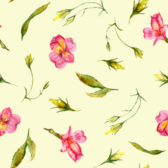 watercolor drawings of summer flowers, seamless pattern