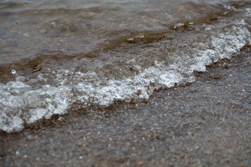 Beach Shoreline Rocks Upclose