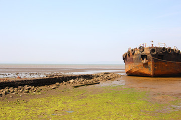Fototapeta na wymiar An old Shipwreck at the beach
