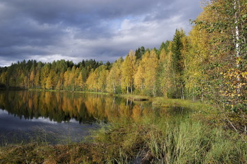 Fototapeta na wymiar озеро в осеннем лесу солнечным днём