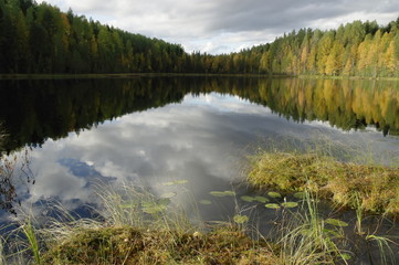  озеро в осеннем лесу солнечным днём