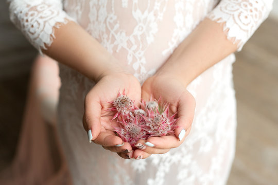 close-up of female hands holding a handful of serruria flowers