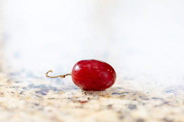 Red Grapes On Granite Counter Top