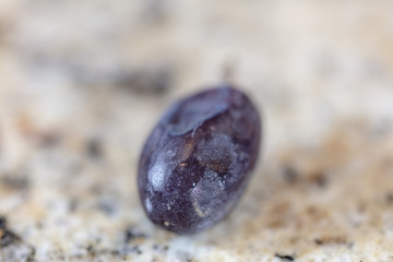Grape shriveled up