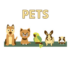 Vector colorful collection of domestic mammals, set of pets  icon. Cat, dog, rabbit, guinea pig, parrot  on white background. Pet shop concept.