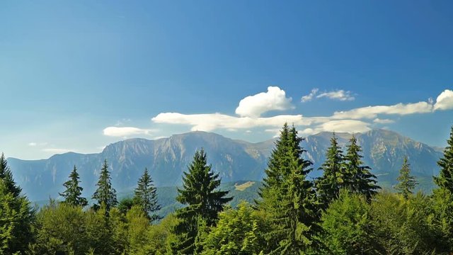 Beautiful Carpathian Mountains Summer Landscape In Romania