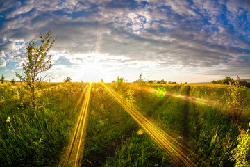 Russian vastnesses. Sunset in the field.  Place -  Middle Don, Russia, Liski Area of Voronezh Region