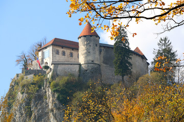 Naklejka premium Autumn trees at Lake Bled, Slovenia. Bled Castle in the background. Lake Bled is popular travel destination in Slovenia.