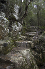 escalier en pierre au mont wellington en Tasmanie, Australie