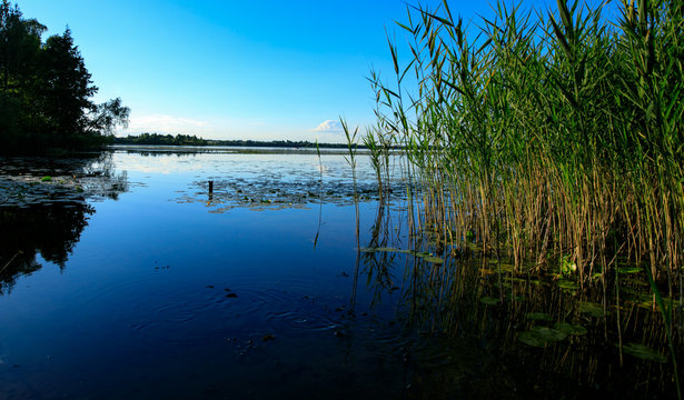 lake in the city Lepel (Belarus)