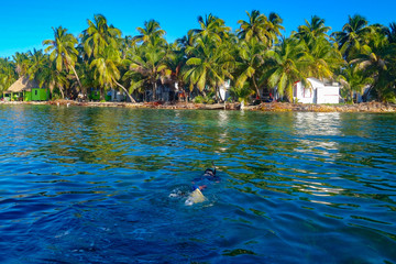 TOBACCO CAYE BELIZE - JAN 2017: A single snorkeller approaches Tobacco Caye off the coast of Belize