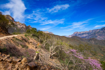 Fototapeta na wymiar A dirt road curves around the slopes of Urique Canyon, one of the six canyons that make up the Copper Canyon system in Mexico's Chihuahua province.