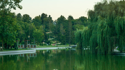 Fototapeta na wymiar City park lake