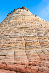 Checkerboard Mesa, Zion National Park, Utah