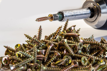 Many brass colored wooden screws against white background and cordless screwdriver with phillips bit in focus in the background