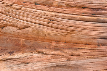 Navajo sandstone layers and cross beds, Zion National Park, Utah