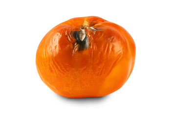 Spoiled yellow tomato isolated on white background.