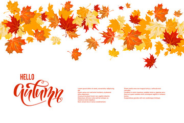 Autumn maple leaves decor