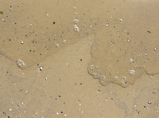 texture of yellow wet sea sand