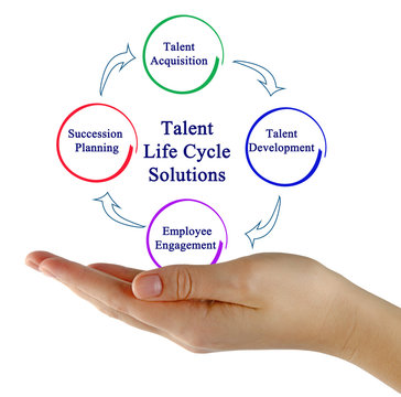 presenting Talent Life Cycle Solutions