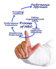 Process of MBO.