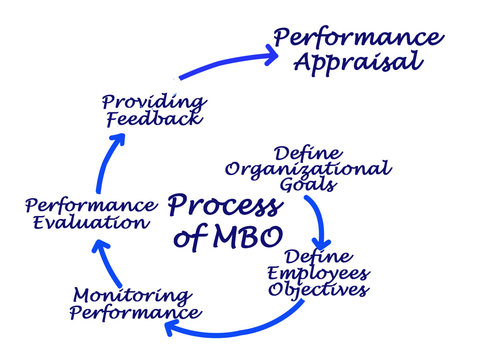 Process of MBO.
