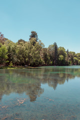 Lake surrounded by trees reflected on the water.