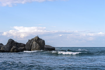 Fototapeta na wymiar Rocks in the sea, blue sea and sky, gulls.