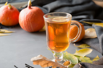Hot tea. Autumn still life, colorful leaves, harvest pumkin, gray scarf for cozy on pastel grey background. Close up and copy space.