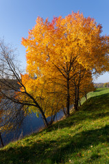 Autumn Sweden