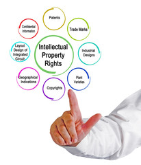 Types of Intellectual Property
