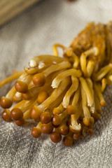 Organic Raw Golden Enoki Mushrooms