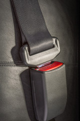 Seat belt on black car seat - 223772112