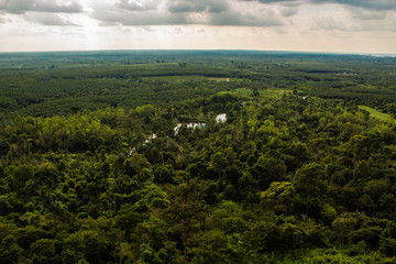Naklejka premium Looking out onto the forest canopy below the mountain range at Phu Sing National Park on a cloudy, overcast day in the rain season.