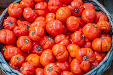 Ripe of red tomatoes in the basket on farmer market.
