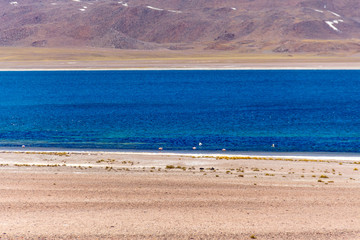 En algún lugar del desierto de Atacama y San Pedro de Atacama en el norte de Chile
